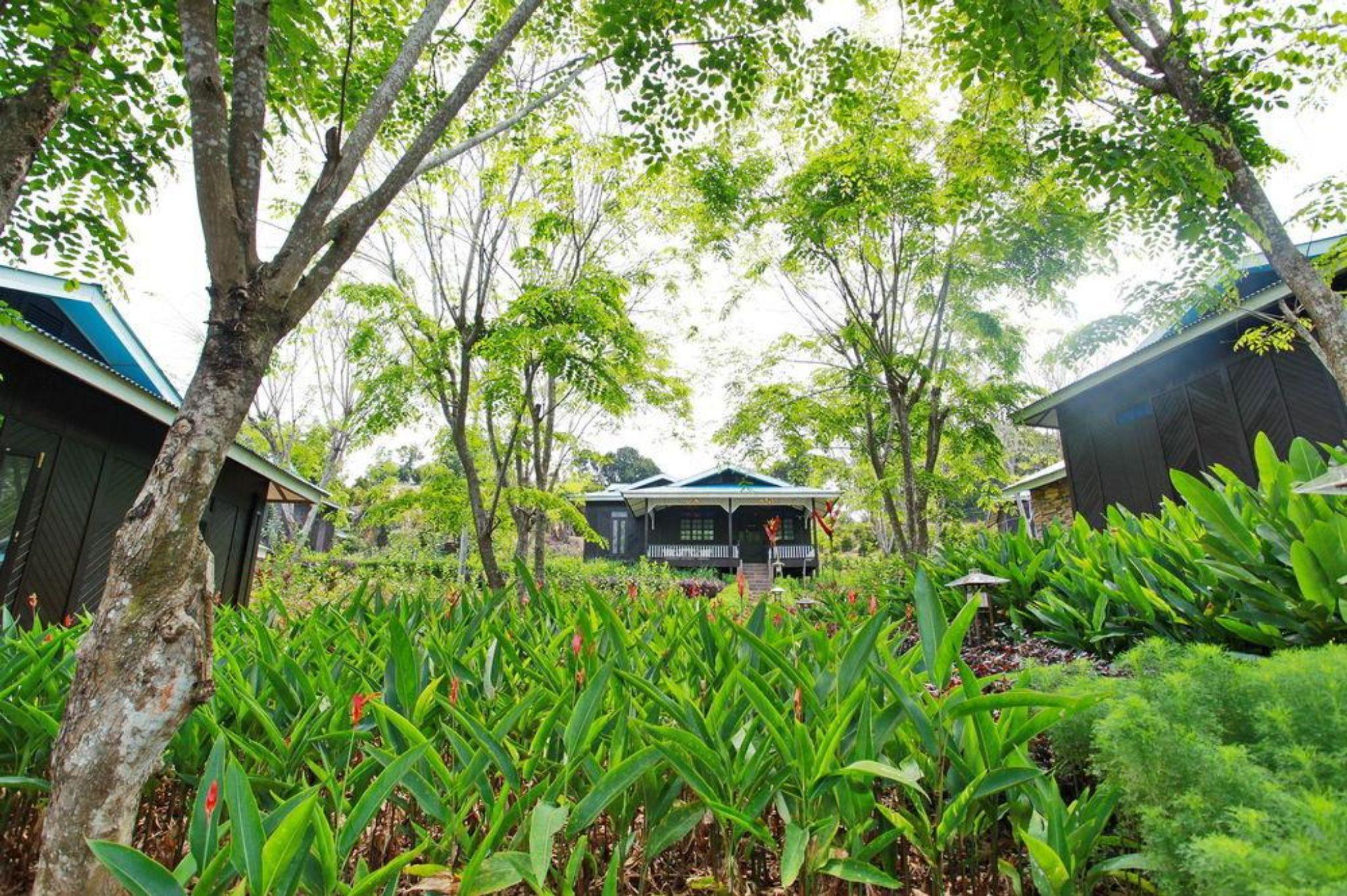 The Orchard Resort & Spa Melaka I World Spa Awards Winner I Free Access To Outdoor Spa Pool Lubuk Cina Buitenkant foto