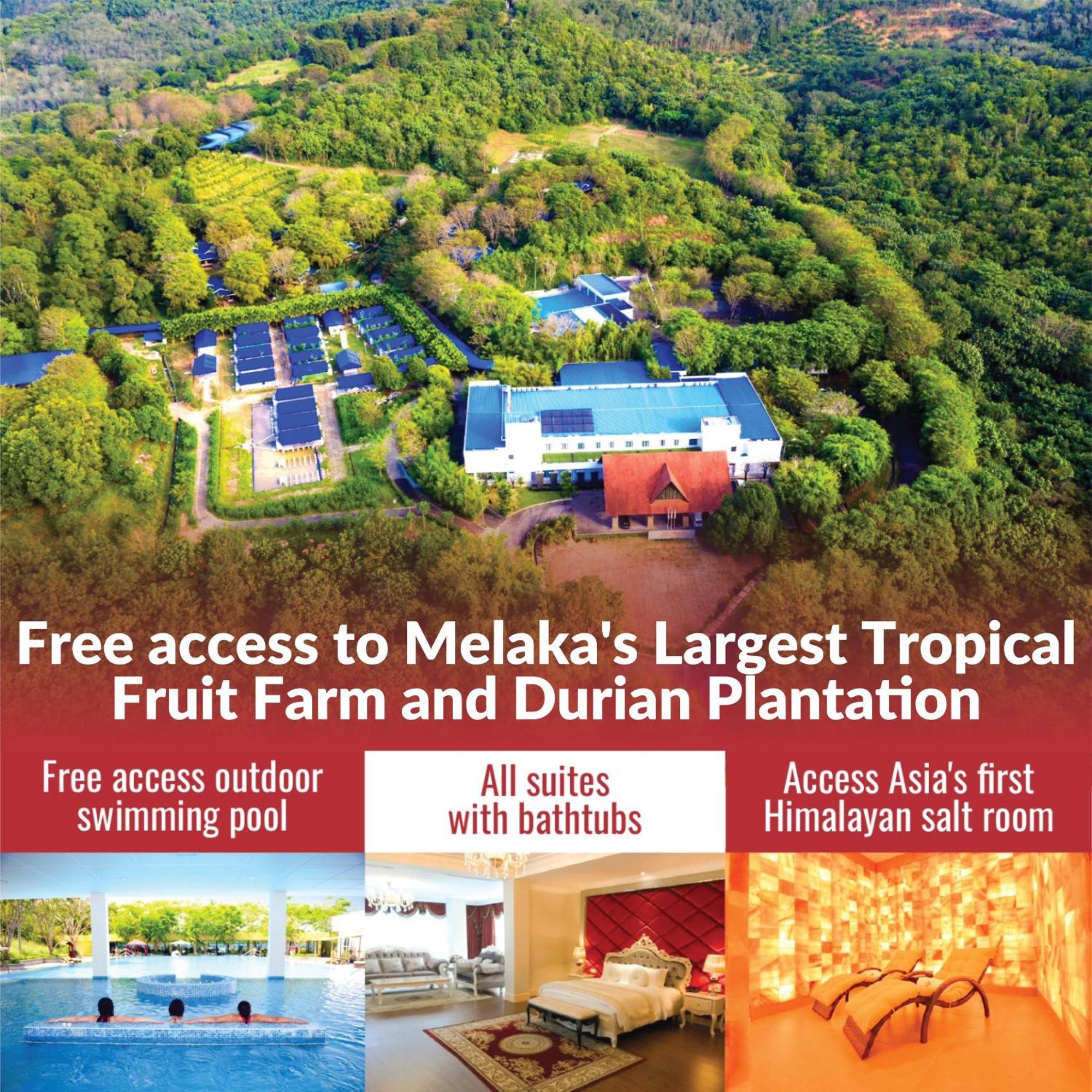 The Orchard Resort & Spa Melaka I World Spa Awards Winner I Free Access To Outdoor Spa Pool Lubuk Cina Buitenkant foto